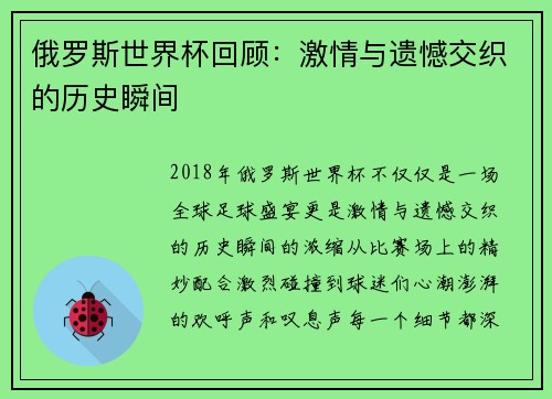 俄罗斯世界杯回顾：激情与遗憾交织的历史瞬间